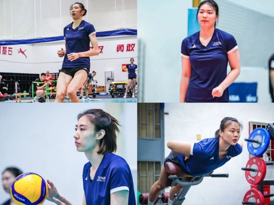 OSDvI, 向外界揭示, 力上的实质